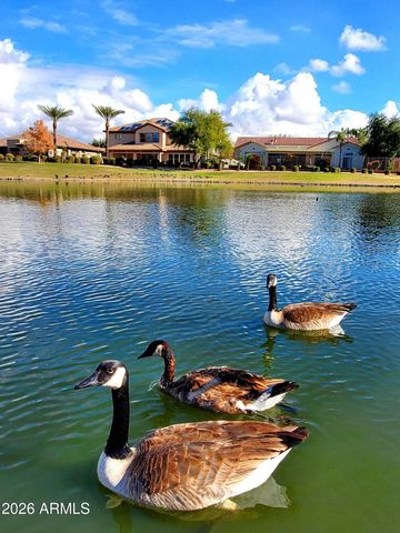 702 W SAN CARLOS Way, Chandler, AZ 85248