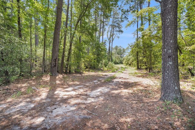 0 Cypress Campground Road, Ridgeville, SC 29472