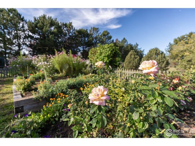 8726 Crimson Clover Ln, Longmont, CO 80503