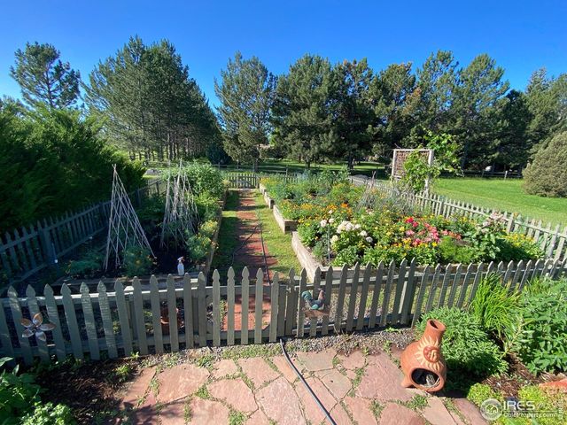 8726 Crimson Clover Ln, Longmont, CO 80503