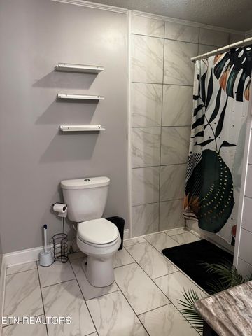 136 McClellan Rd, Madisonville, TN 37354