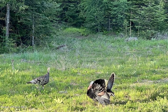 DB Lot 12 Blk 1 Leonard Loop, Athol, ID 83801