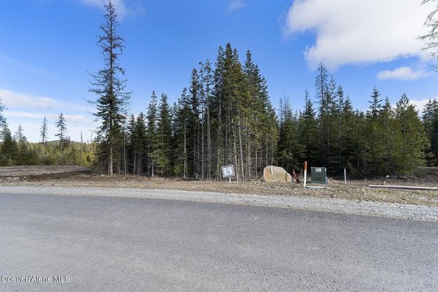 DB Lot 12 Blk 1 Leonard Loop, Athol, ID 83801