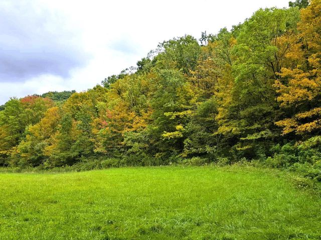 46748 Torgerson Road, Soldiers Grove, WI 54655