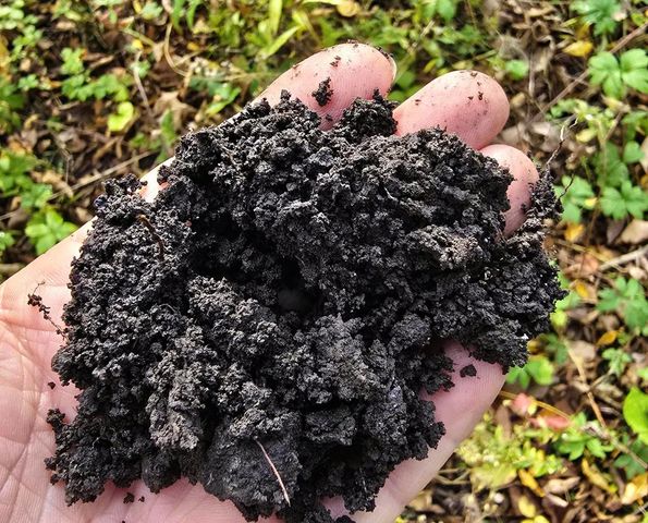 46748 Torgerson Road, Soldiers Grove, WI 54655