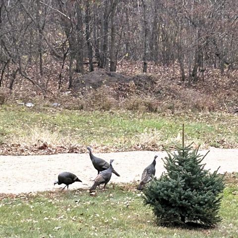 46748 Torgerson Road, Soldiers Grove, WI 54655