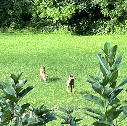 46748 Torgerson Road, Soldiers Grove, WI 54655