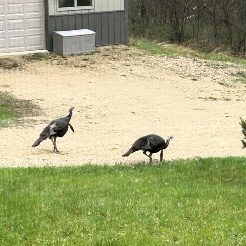 46748 Torgerson Road, Soldiers Grove, WI 54655