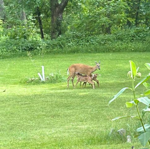 46748 Torgerson Road, Soldiers Grove, WI 54655