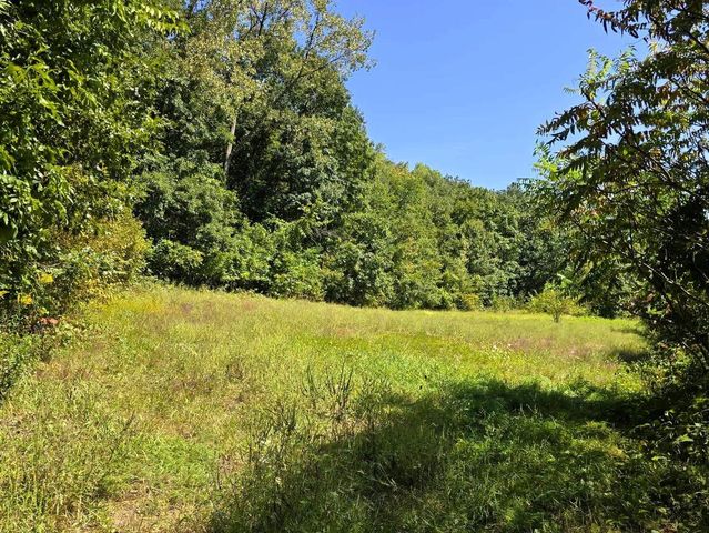 46748 Torgerson Road, Soldiers Grove, WI 54655