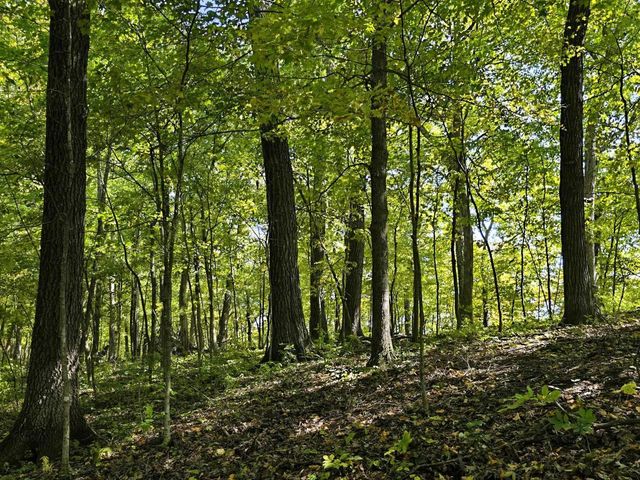 46748 Torgerson Road, Soldiers Grove, WI 54655