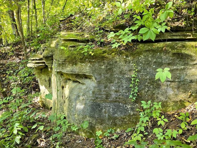 46748 Torgerson Road, Soldiers Grove, WI 54655