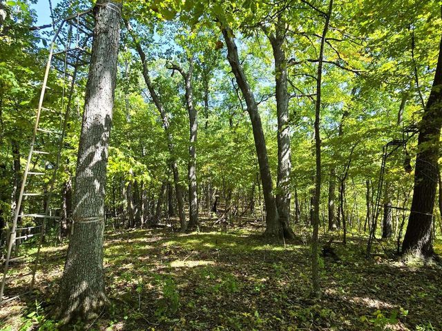 46748 Torgerson Road, Soldiers Grove, WI 54655