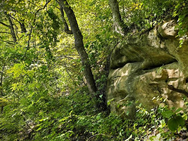 46748 Torgerson Road, Soldiers Grove, WI 54655