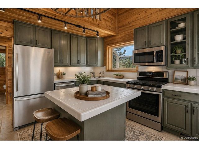 606 Clark Rd, Bailey, CO 80421