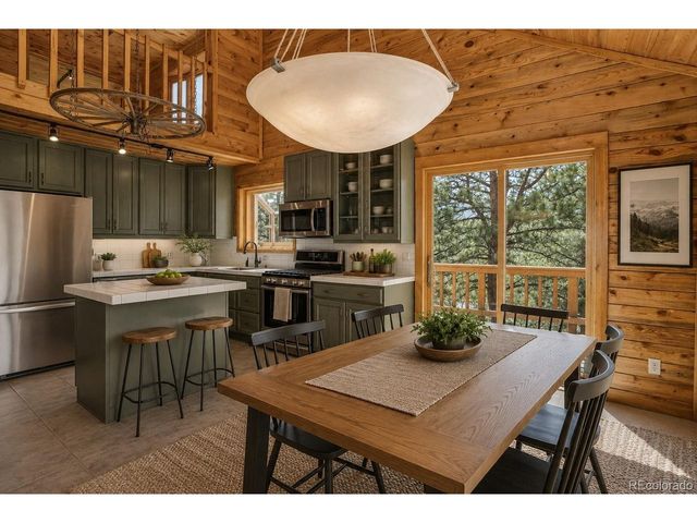 606 Clark Rd, Bailey, CO 80421