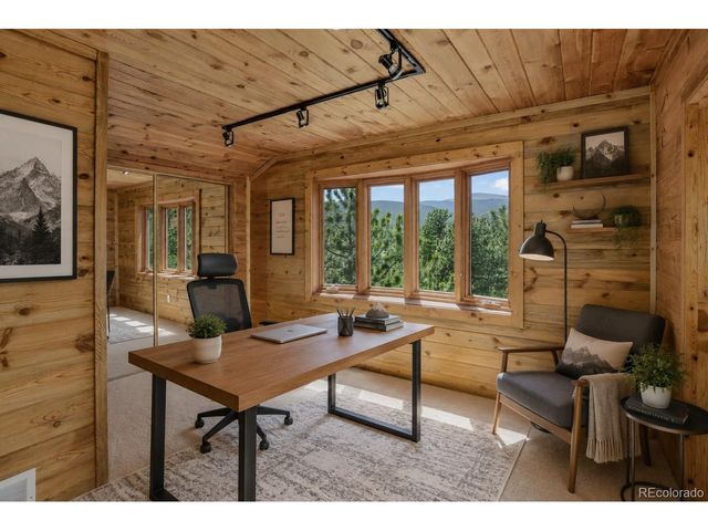 606 Clark Rd, Bailey, CO 80421