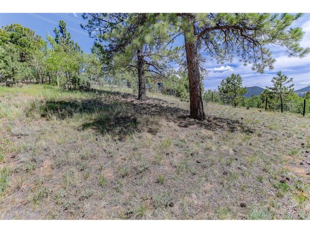 606 Clark Rd, Bailey, CO 80421