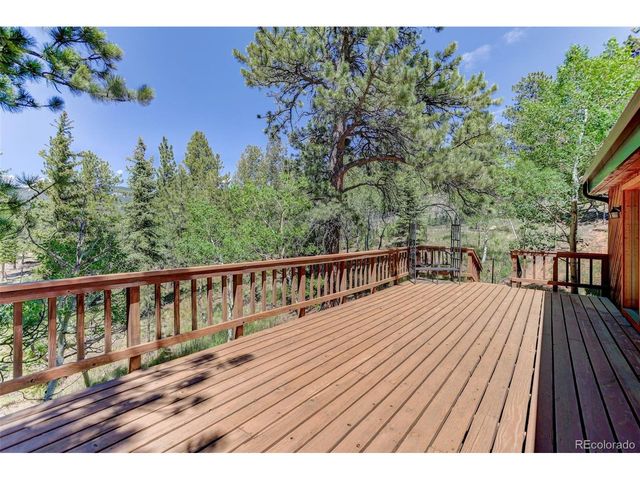 606 Clark Rd, Bailey, CO 80421