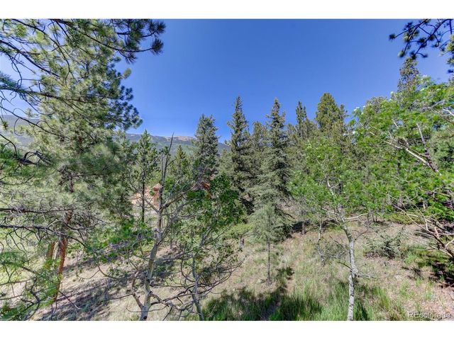 606 Clark Rd, Bailey, CO 80421