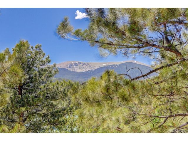 606 Clark Rd, Bailey, CO 80421