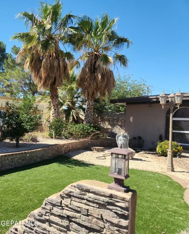 14800 KINGSTON DR Road, Horizon City, TX 79928