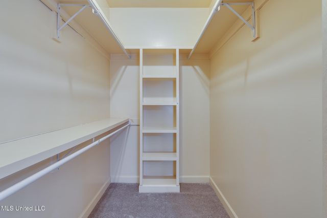 13294 Old Locke Road, Olive Branch, MS 38654