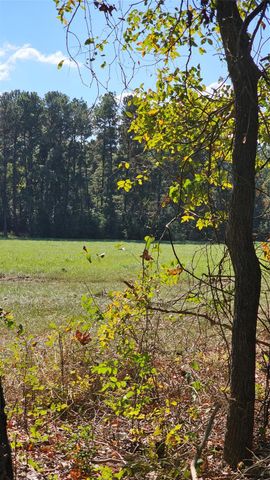 TBD Hawthorne Road N, New Waverly, TX 77358