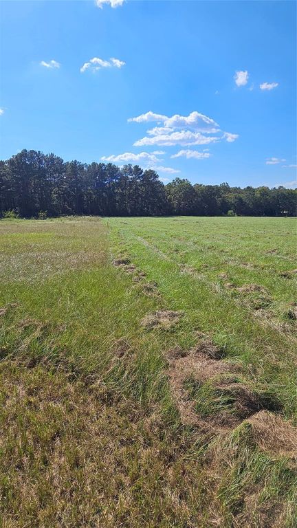 TBD Hawthorne Road N, New Waverly, TX 77358