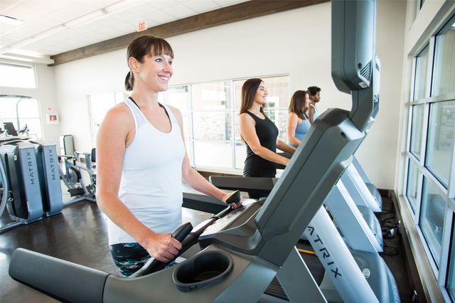 2711 Wild Berry Court, Fulshear, TX 77423