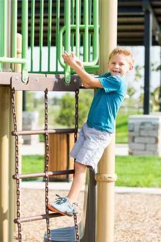 2711 Wild Berry Court, Fulshear, TX 77423