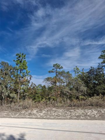 15176 GONZO ROAD, Weeki Wachee, FL 34614