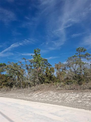 15176 GONZO ROAD, Weeki Wachee, FL 34614