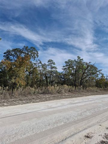 15176 GONZO ROAD, Weeki Wachee, FL 34614