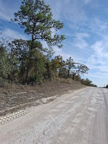 15176 GONZO ROAD, Weeki Wachee, FL 34614