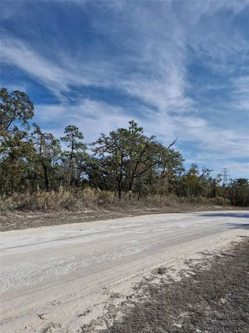 15176 GONZO ROAD, Weeki Wachee, FL 34614