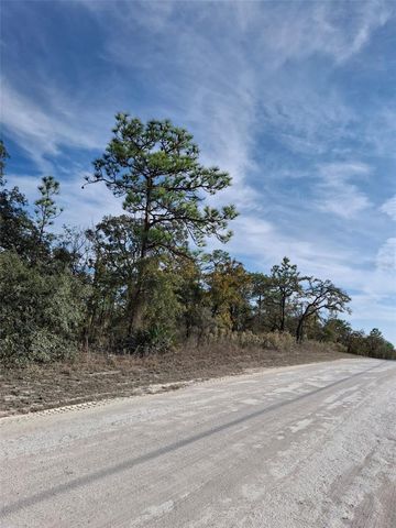 15176 GONZO ROAD, Weeki Wachee, FL 34614