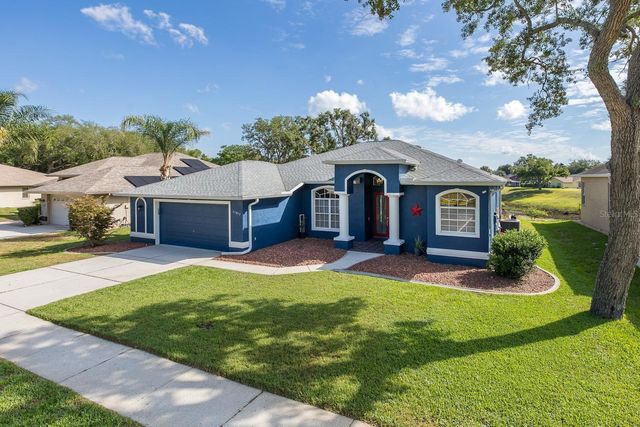 11017 AUDIE BROOK DRIVE, Spring Hill, FL 34608