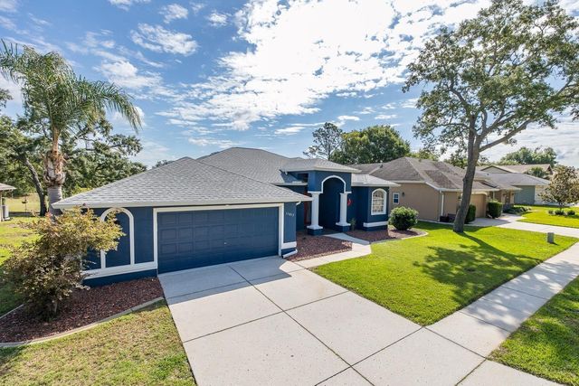 11017 AUDIE BROOK DRIVE, Spring Hill, FL 34608
