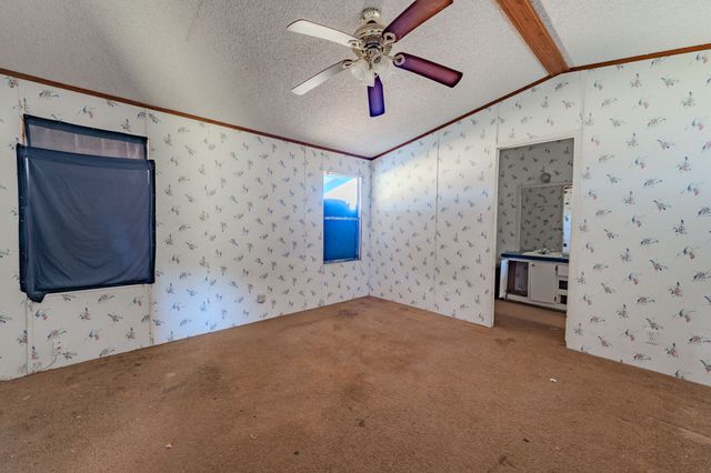 16115 FM 847, Dublin, TX 76446