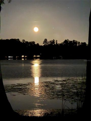 1006 LAKE COOPER DRIVE, Lutz, FL 33548