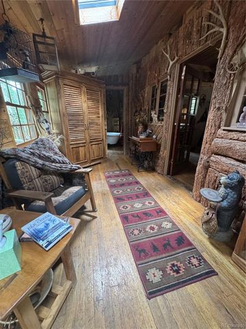 15751 S Elk Creek Road S, Pine, CO 80470