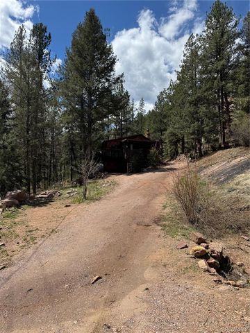 15751 S Elk Creek Road S, Pine, CO 80470