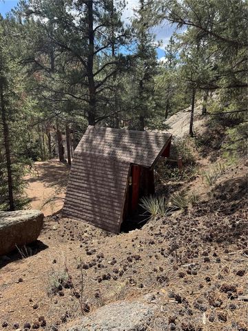 15751 S Elk Creek Road S, Pine, CO 80470