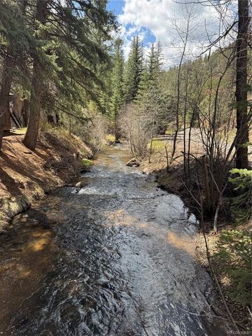 15751 S Elk Creek Road S, Pine, CO 80470