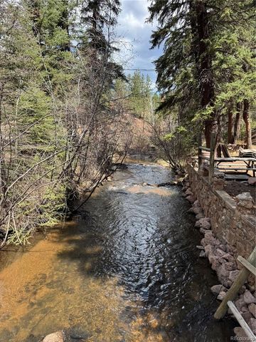 15751 S Elk Creek Road S, Pine, CO 80470