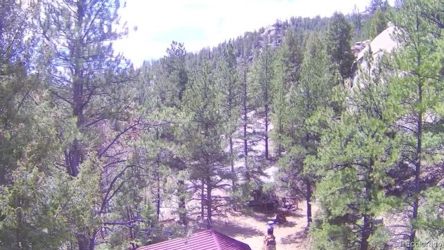 15751 S Elk Creek Road S, Pine, CO 80470