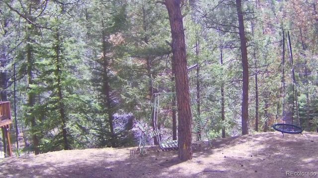 15751 S Elk Creek Road S, Pine, CO 80470