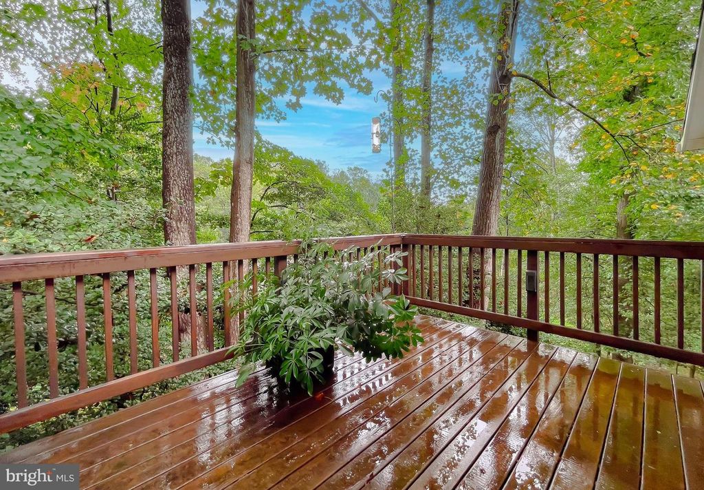 Image 40 of property listing at 5862 MAGNOLIA CIR, St Leonard, MD 20685