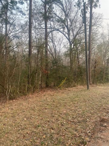 TBD Hill Creek Drive, Coldspring, TX 77331